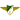 Moreirense FC